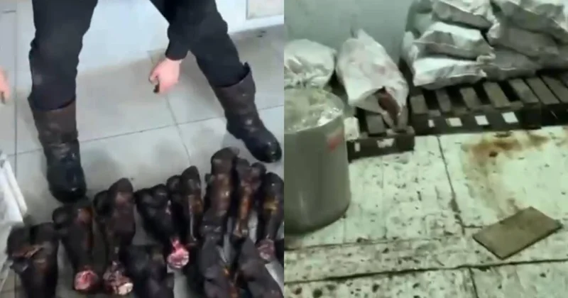 Елордада 3 мың тонна заңсыз ет тәркіленді