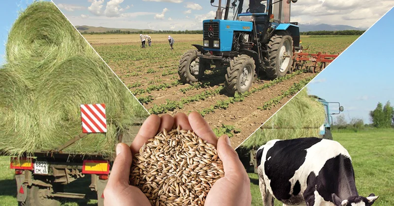 Жерді дұрыс игеру стратегиялық ұстаным