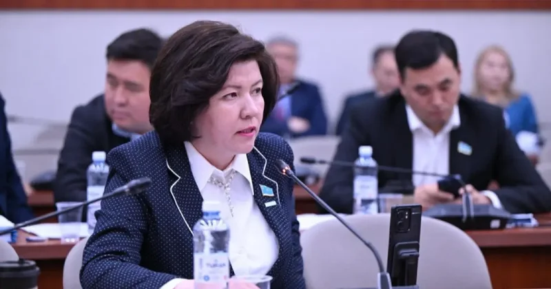 Жеке мектептерге мемлекеттік тапсырыс бөлуге қатысты мәселе шешілді оқу министрі