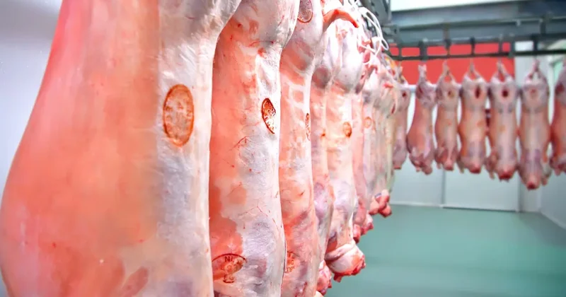 Казахстан впервые экспортировал халал продукцию в Саудовскую Аравию