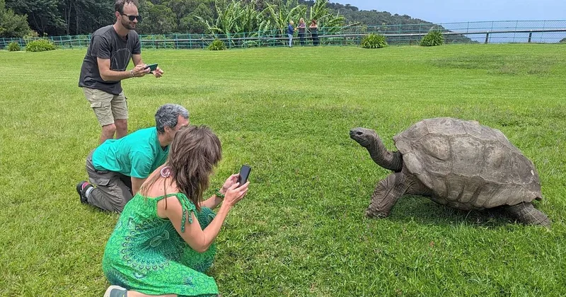 Старейшая черепаха мира стала объектом фейка
