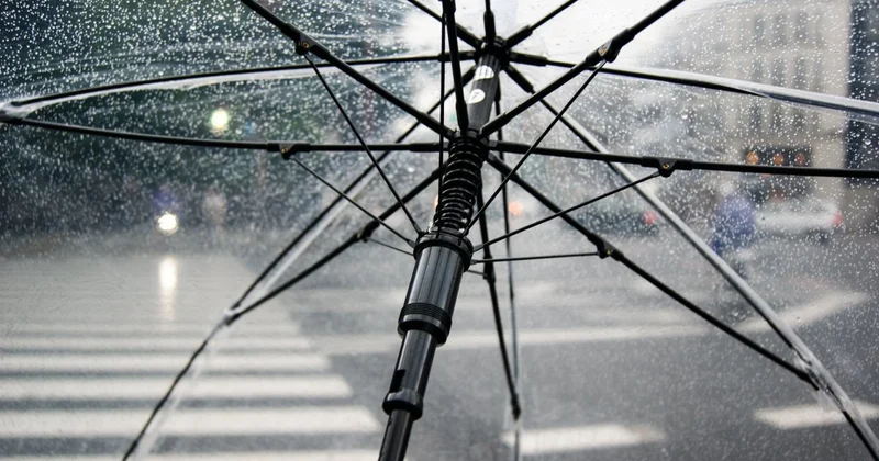 Дожди и грозы прогнозируют в ряде регионов Казахстана