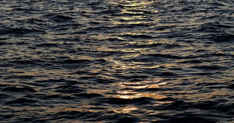 Спустя несколько дней поисков в Туркестанской области найдено тело ребенка