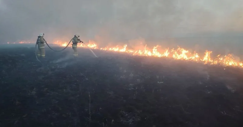 Сухая трава горела почти на двух гектарах в Акмолинской области