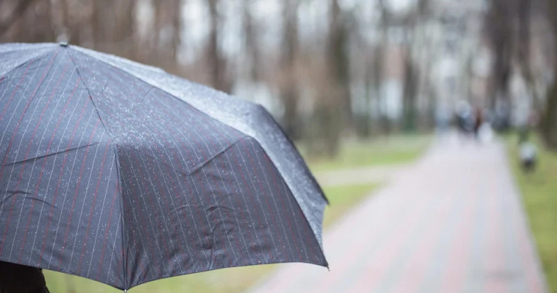 Жаңбыр жауып, найзағай соғады: 5 сәуірге арналған ауа райы болжамы