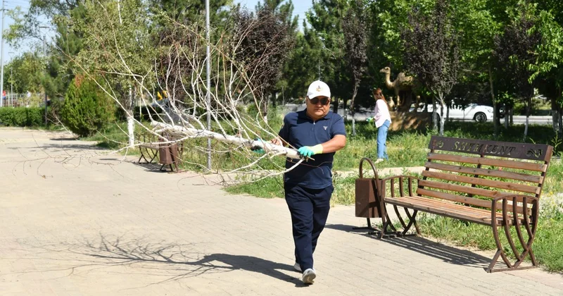 Таза бейсенбі : экологическая акция как яркий пример заботы и ответственности