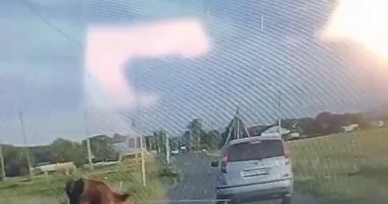 Водителя, тащившего за автомобилем телёнка в ВКО, наказали. Видео