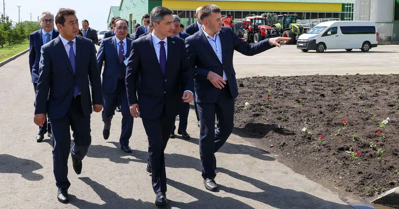 Бектенов проверил развитие сельского хозяйства в СКО
