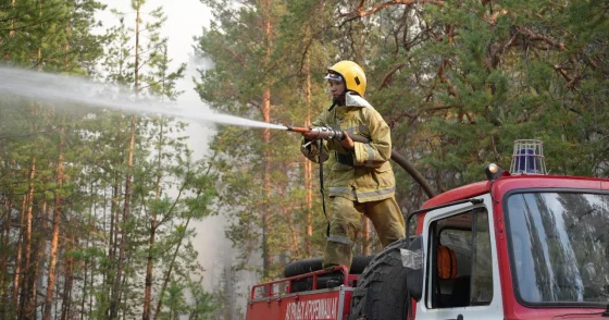 Верховой лесной пожар зарегистрирован в ГЛПР Ертіс орманы