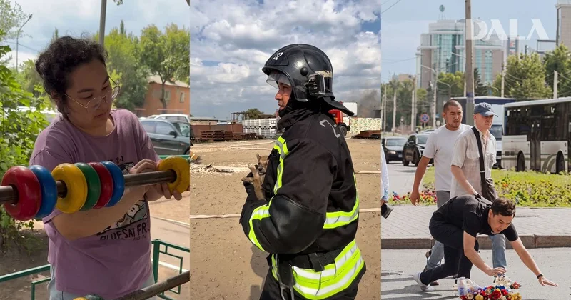 Уборка на детской площадке, спасенный щенок: поступки казахстанцев покорили Сеть