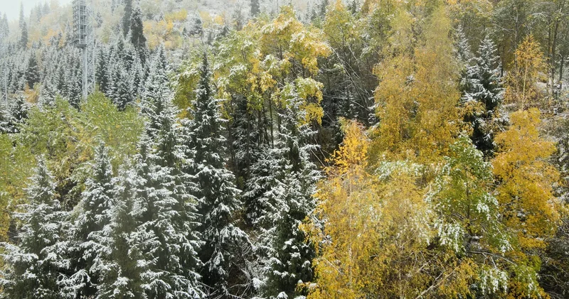 Қазақстанның бірнеше өңірінде қар жауып, боран соғады