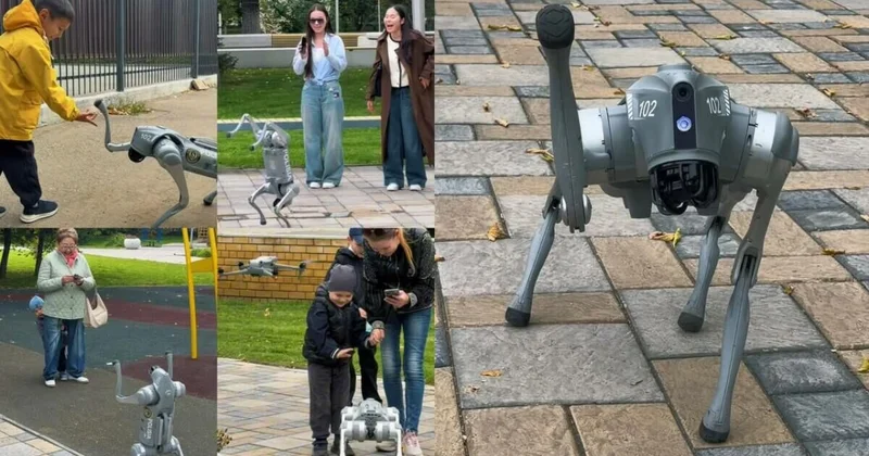 Они уже здесь