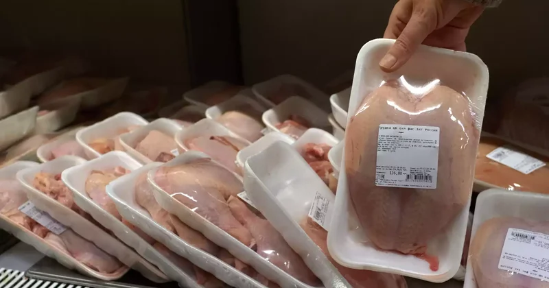 Жетісуда 14 млрд теңгеге құс фабрикасы салынады