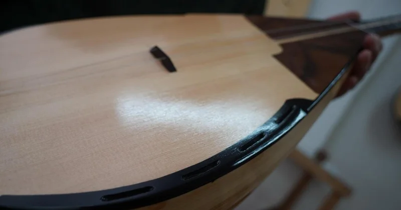 Домбра, тюльпан, назидания Абая, хэштег #Qazaqstan: Токаев утвердил национальные символы страны