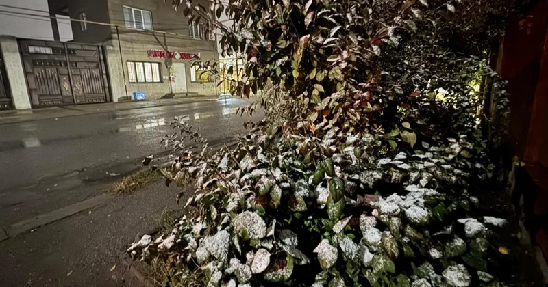 Шымкентте алғашқы қар жауды