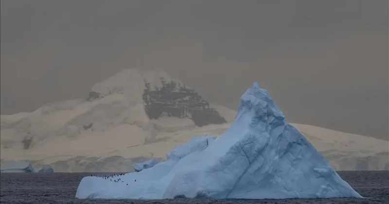 Антарктидадағы Хектория мұздығы екі айда 8 км артқа шегінді