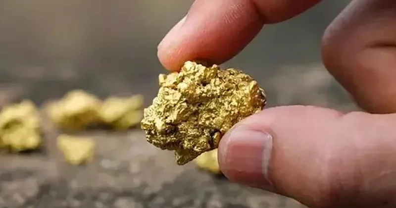 Түркияда ірі алтын кен орны табылды
