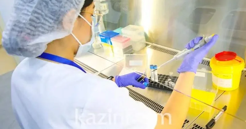 Батыс Қазақстанда 26 адам бруцеллез жұқтырған