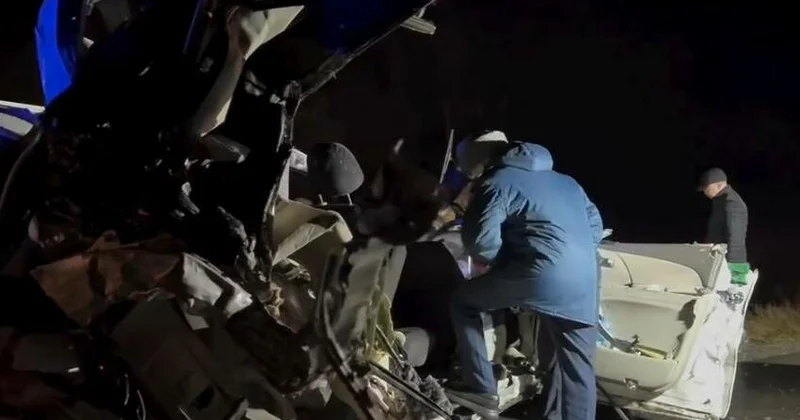 В рубашке родилась!