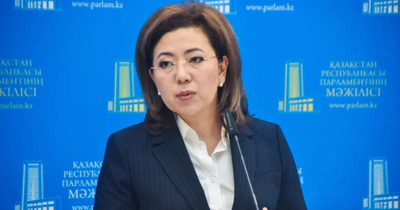 Әбілқасымова алақан арқылы төлем жасау жүйесі турасында: қауіпсіздік басты назарда болуы тиіс