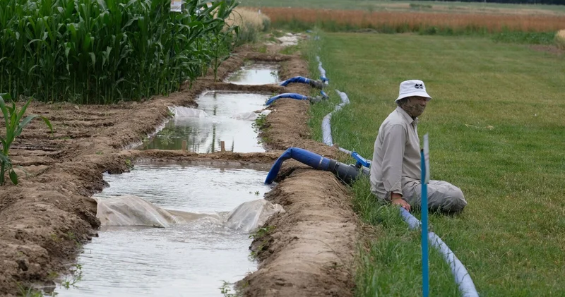 Возвысить степь, не принижая море