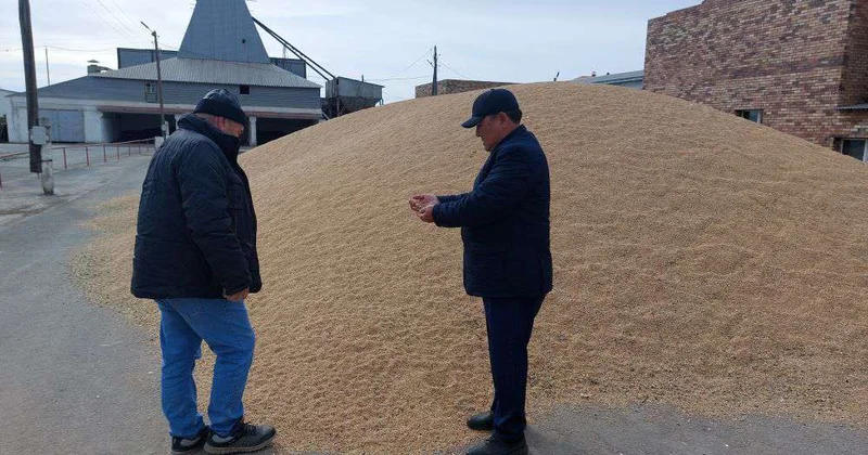 Экспорт зерна увеличился