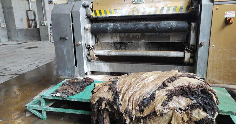 Возобновил работу кожевенный завод