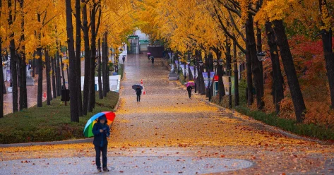Теплая погода вернется в Казахстан