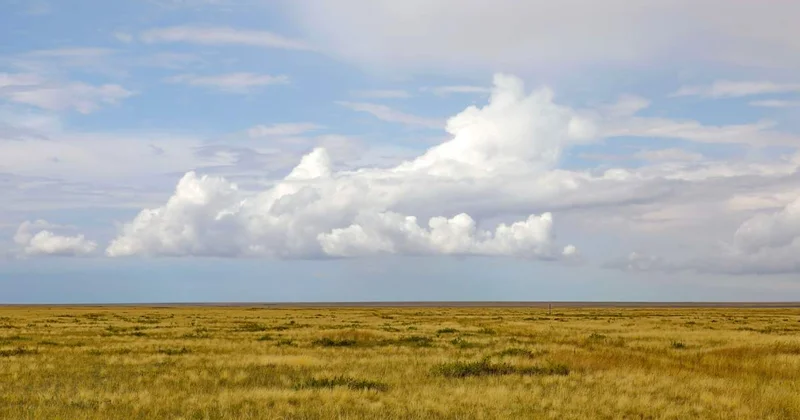 7200 гектар жер дауы: Павлодар соты уәкілетті органның талабын қанағаттандырмады