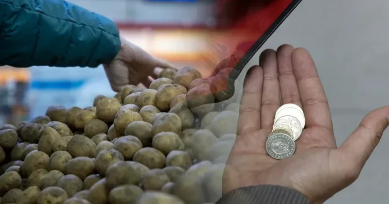 Картоп тапшылығы: Баға тағы да қыспаққа ала ма?