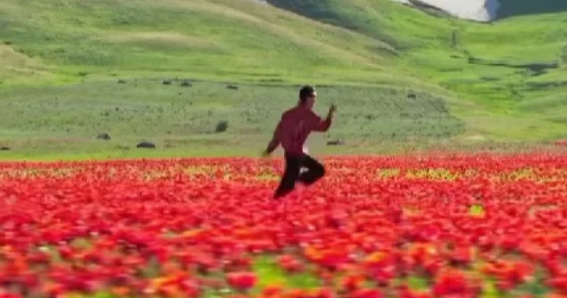 Instagram әлемге Қазақстанның сұлу табиғатын паш етті