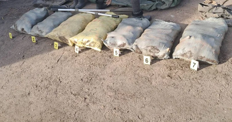 Почти 300 кг рыбы изъяли у браконьеров в Павлодарской области