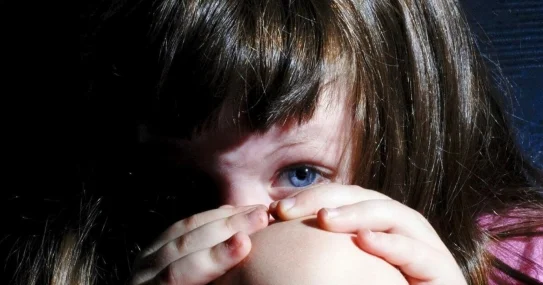 Пожизненный срок за изнасилование и убийство ребенка получил житель СКО