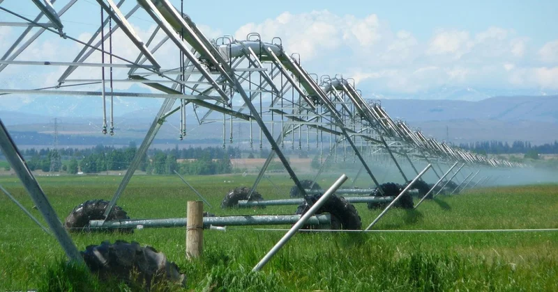Лимиты посева влагоемких культур пересмотрели в Туркестанской области