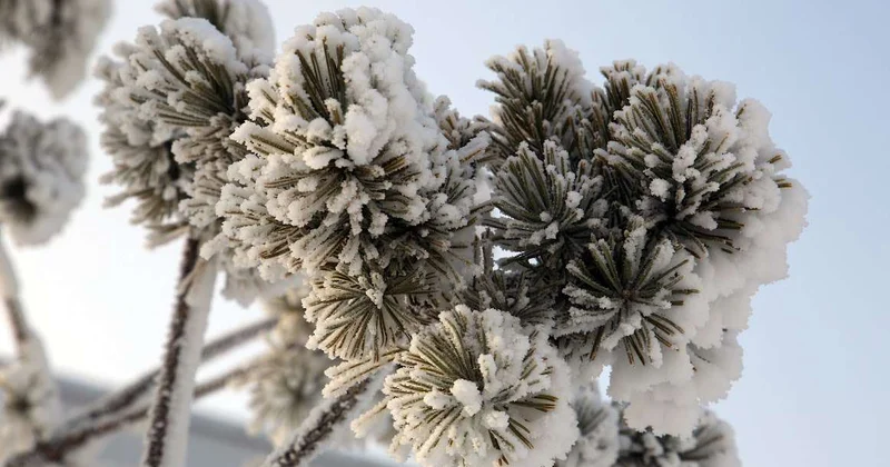 Арктический антициклон несет морозы в Казахстан