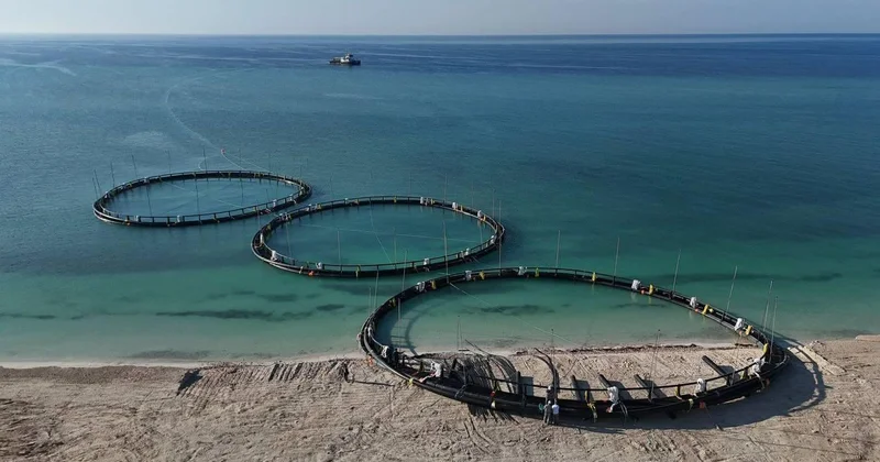 Маңғыстау облысында инвестор тарту және ірі жобаларды іске асыру жұмыстары қарқын алды