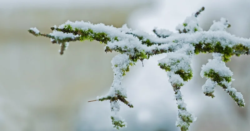Осадки накроют почти весь Казахстан 5 декабря