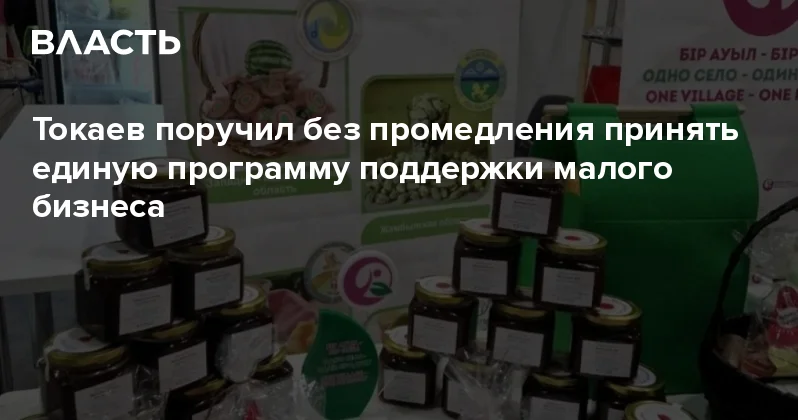 Токаев поручил без промедления принять единую программу поддержки малого бизнеса Аналитический интернет журнал Власть