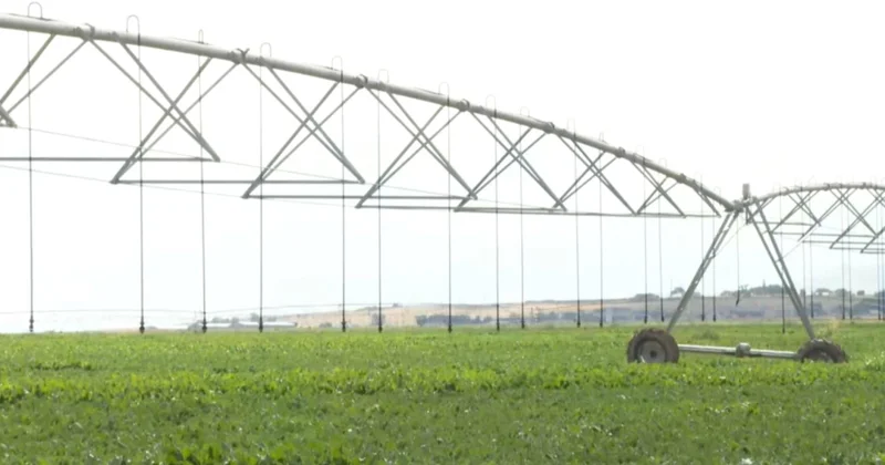 Жамбыл диқандары 66 500 га жерге су үнемдеу технологиясын енгізді