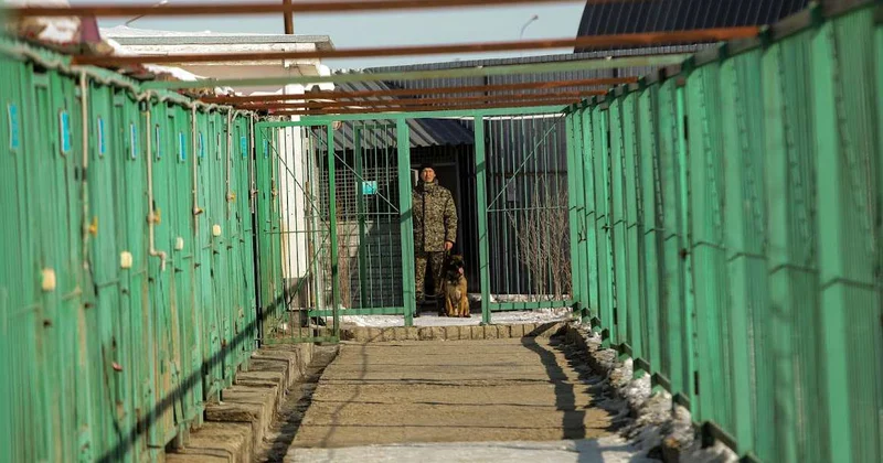 Партию запрещёнки пытались доставить в уральскую колонию