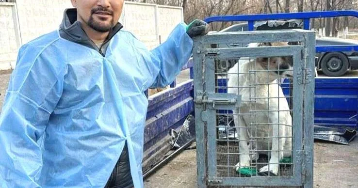 Не смог остаться равнодушным