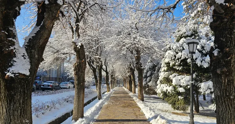 Алдағы үш күнге арналған ауа райы болжамы: Астанада аяз бен қар, Алматы мен Шымкентте жылымық