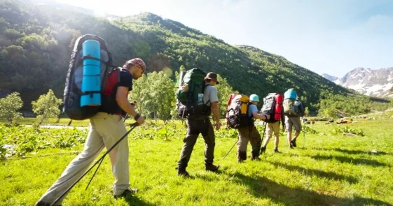 Решить кадровые проблемы в сфере туризма поручил премьер