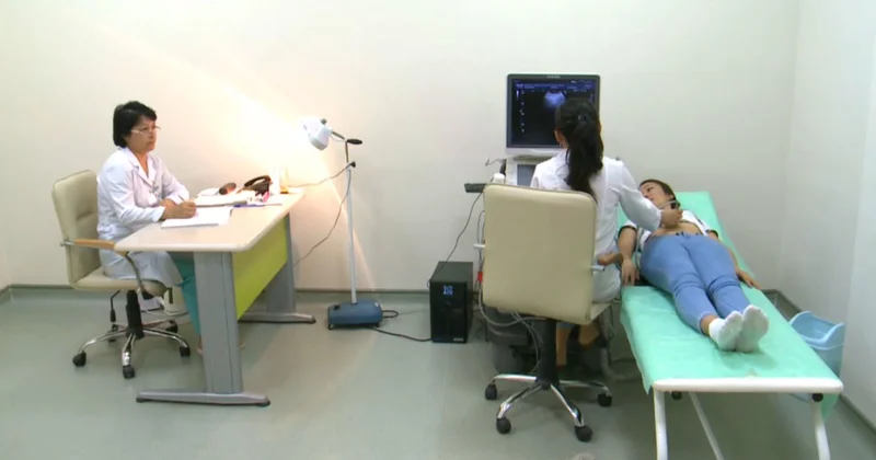 Қызылорда облысында медицина саласындағы мәселелер көтерілді