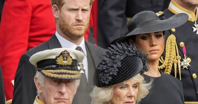 Принц Гарри надеется на встречу короля с внуками