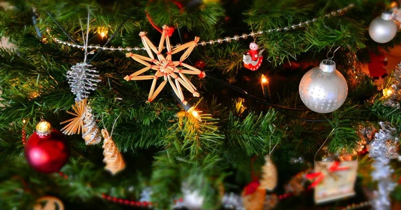 Старший менеджер банка остался без новогодней елки в Актобе