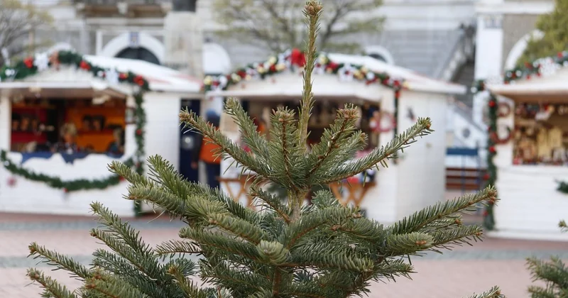 Мошенники обманули сотрудника банка при покупке новогодней елки в Актобе
