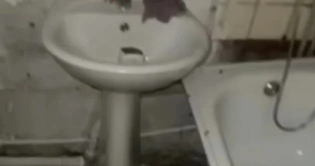 Алатау әкімдігі дәрігерлерге арналған қызметтік тұрғын үйдегі жағдайға қатысты түсінік берді