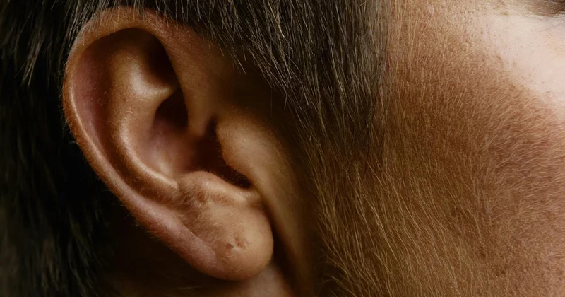 Отрезал ухо обидчику сына : драка казахстанцев закончилась тяжелыми последствиями