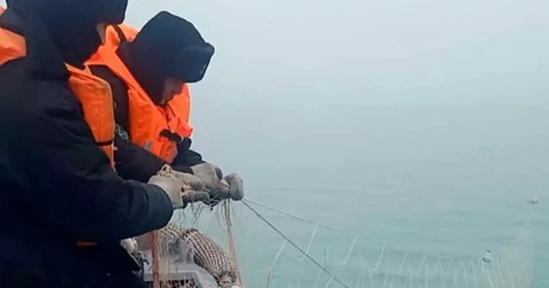 Былтыр Каспий теңізінде 600 ден астам браконьерлік фактісі тіркелді